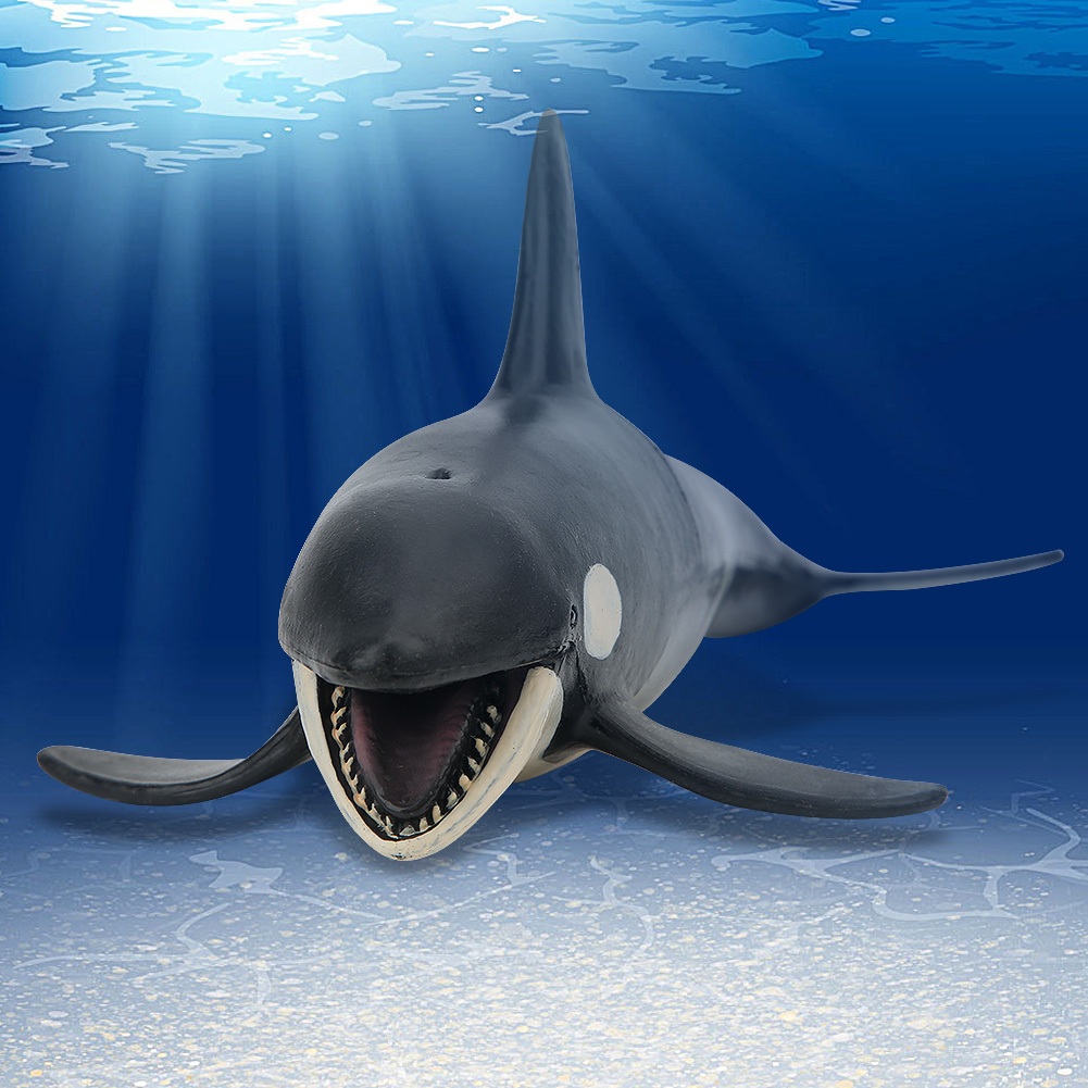 ● BabyGo Hình dạng cá voi sát thủ Mô phỏng mô hình động vật Sinh biển Trẻ em Đồ chơi rắn tĩnh