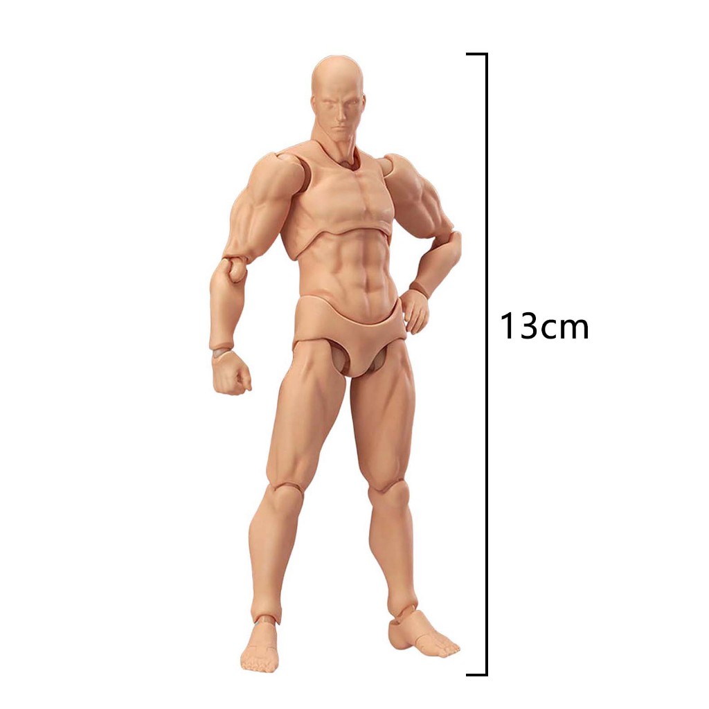 Đồ Chơi Mô Hình Cơ Thể Người Bằng pvc Cho Học Sinh