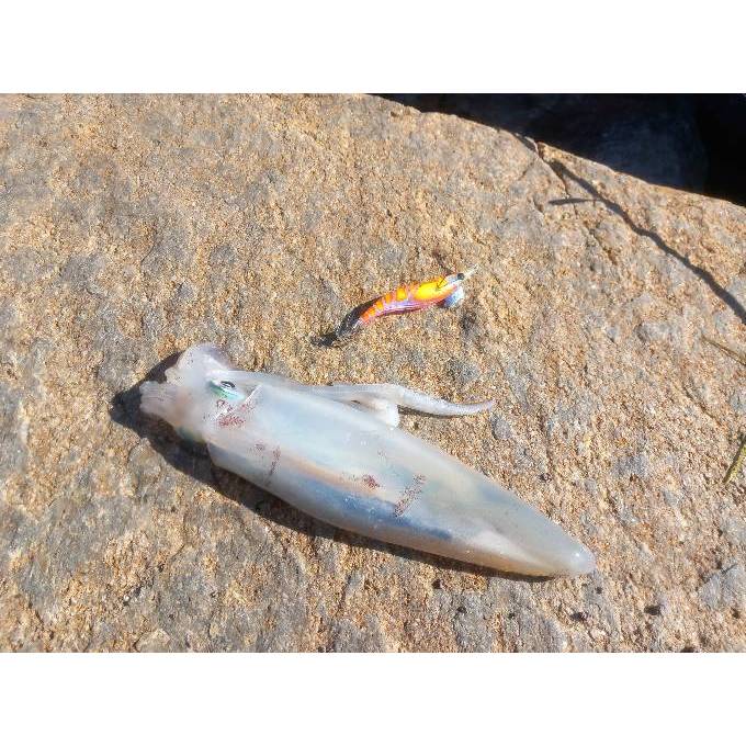 Mồi Câu Cá Giả Hình Con Tôm Mềm 80mm 92mm 110mm