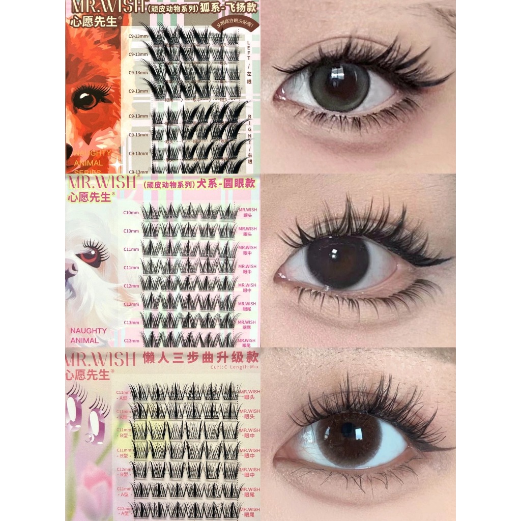 Lông Mi Giả MR.WISH