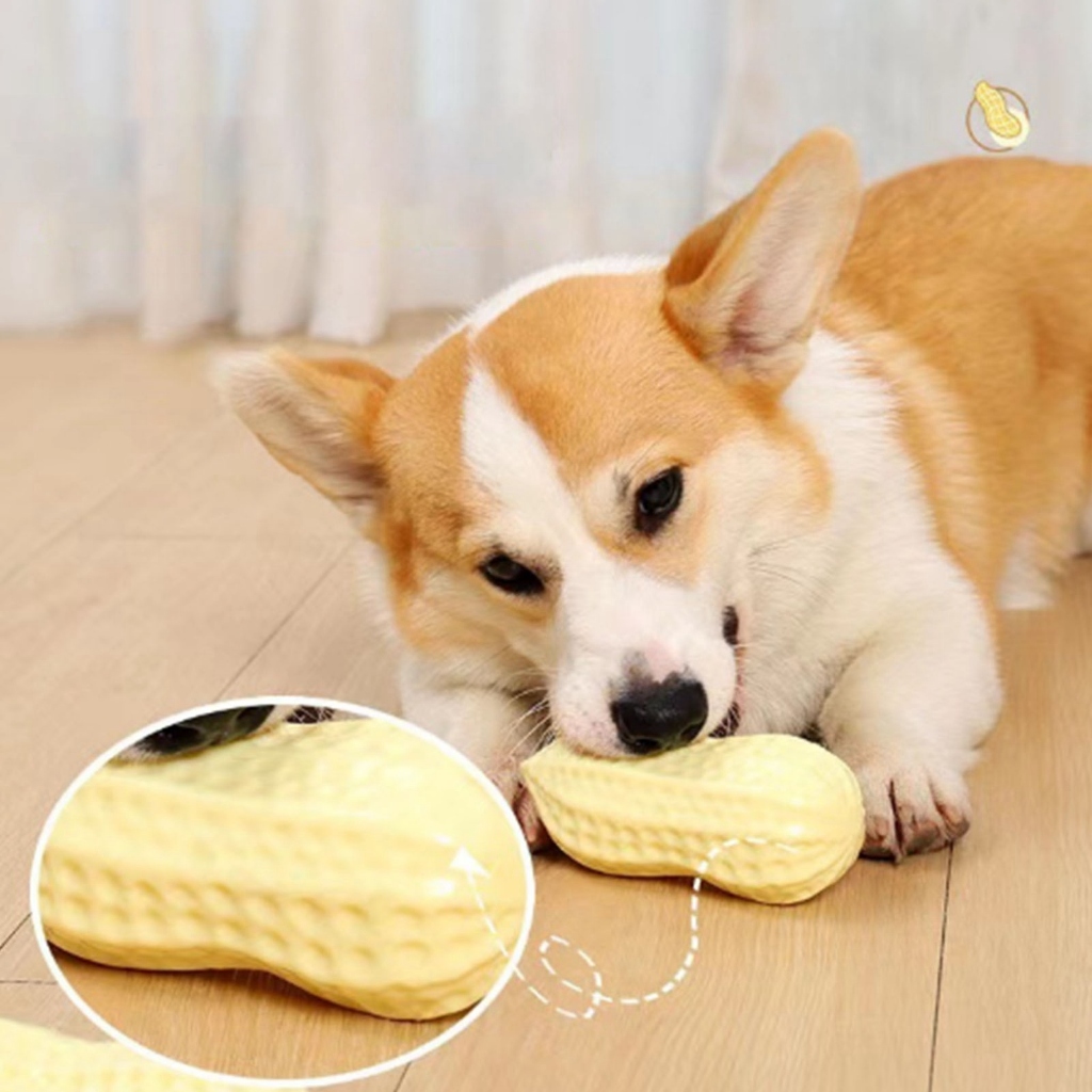 Đồ Chơi Nhai Gặm Hình Hạt Đậu Phộng Cho Chó có âm thanh - Đồ chơi tương tác với chó