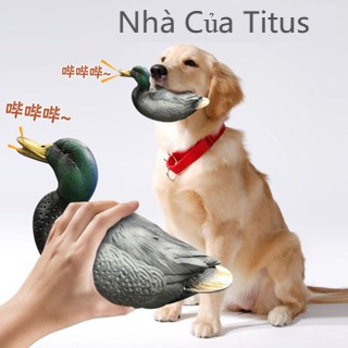 Vịt đồ chơi chống cắn phát ra tiếng kêu cho thú cưng
