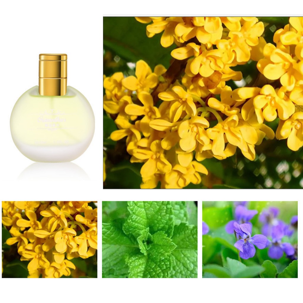 Arlene Giay 50ml Toilette Xịt thơm lâu dài Nước hoa toàn thân dạng chai mờ dành cho nữ snowa114.vn