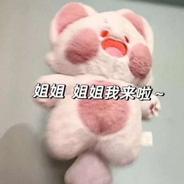 Mèo Dễ Thương 40CM Mềm Mại Sang Trọng Đồ Chơi Búp Bê Quà Tặng Sinh Nhật Trẻ Em