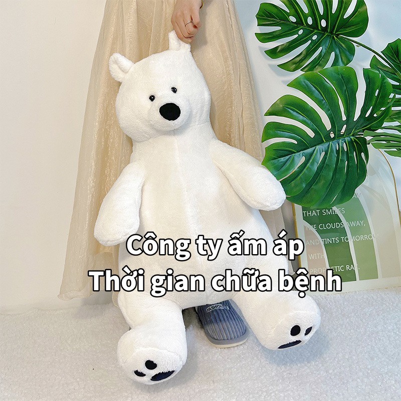 Gấu Lười Nhồi Bông Dễ Thương 40-65CM