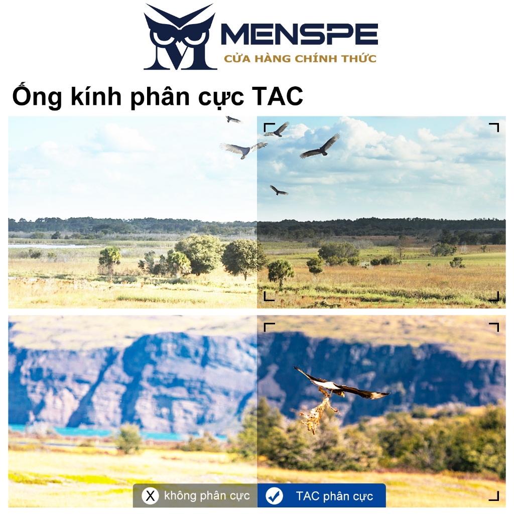 Kính mát nam MENSPE thời trang cá tính cho nam