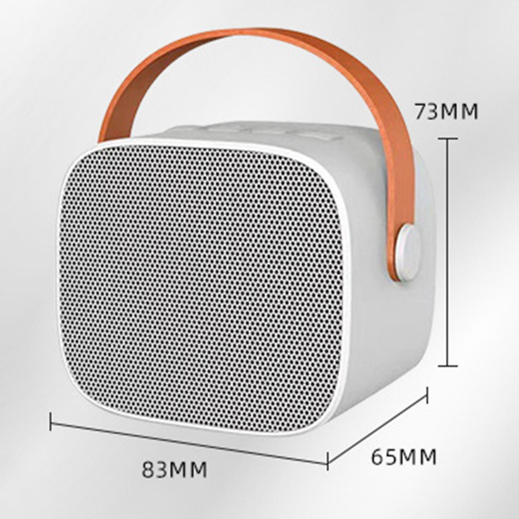 Máy Hát karaoke karaoke mp3 bluetooth Cho Gia Đình / Tiệc Tùng / Cắm Trại