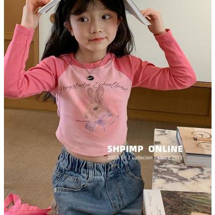 Doula Áo Thun Tay Dài In Hình Thỏ Hoạt Hình Phong Cách Hàn Quốc Thời Trang Mùa Xuân 2023 Cho Bé Gái