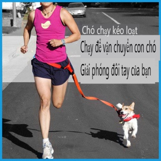 Dây dắt thú cưng đi dạo tiện lợi