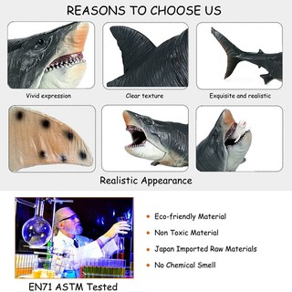 Đồ Chơi Mô Hình Cá Mập Megalodon Độc Đáo Cho Bé yk