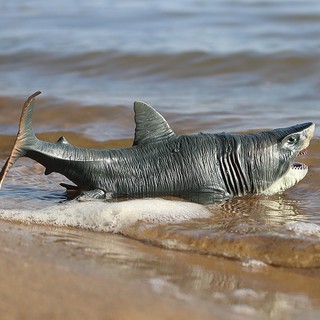 Đồ Chơi Mô Hình Cá Mập Megalodon Độc Đáo Cho Bé yk