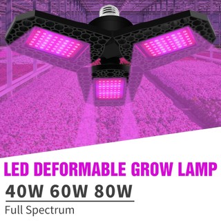 Đèn led trồng cây kiểng sân vườn e27 40w / 60w / 80w