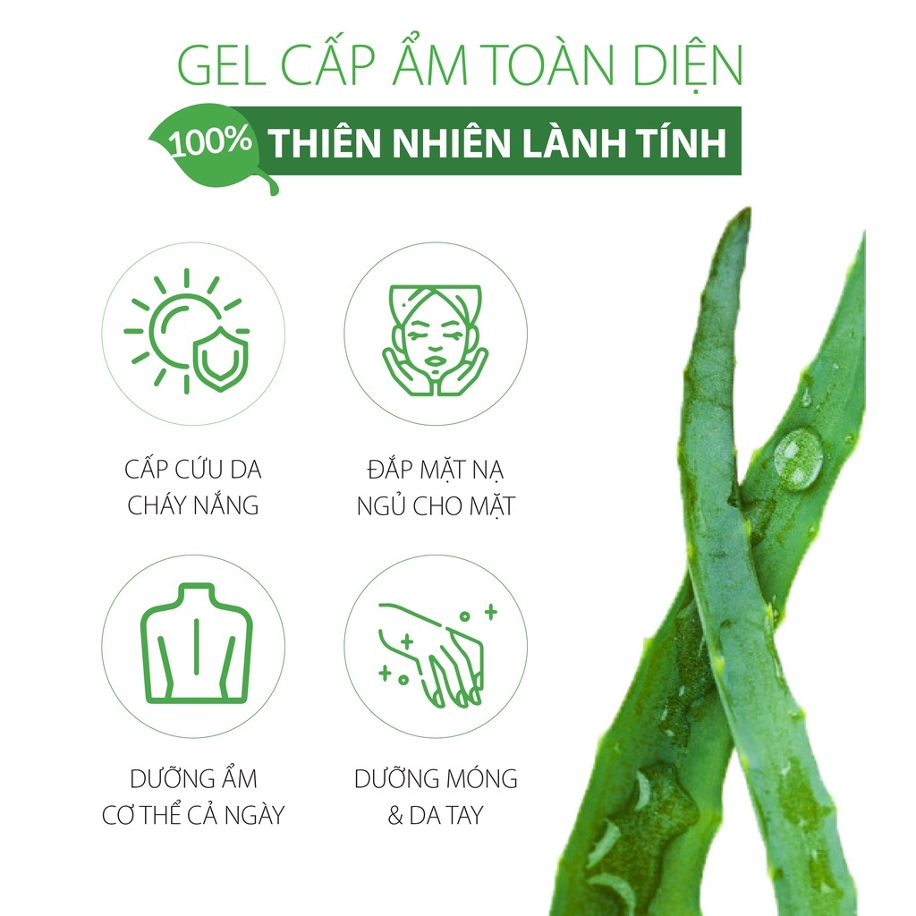 Gel lô Hội 98%dưỡng ẩm và làm mềm da  cháy nắng tẩy tế bào chết da bầm tím da mặt