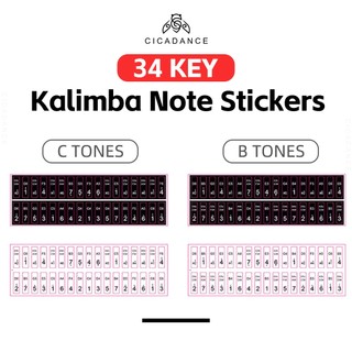  34 phím Sticker Dán Kalimba Chất liệu PET Khuyên dùng cho người mới bắt đầu 