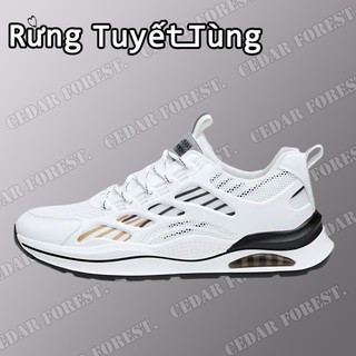 SHANMUSENLIN  Giày Thể Thao Lưới Thoáng Khí Phong Cách Trung Hoa Cho NamGiày nam Thể thao Thư giãn Thời trang