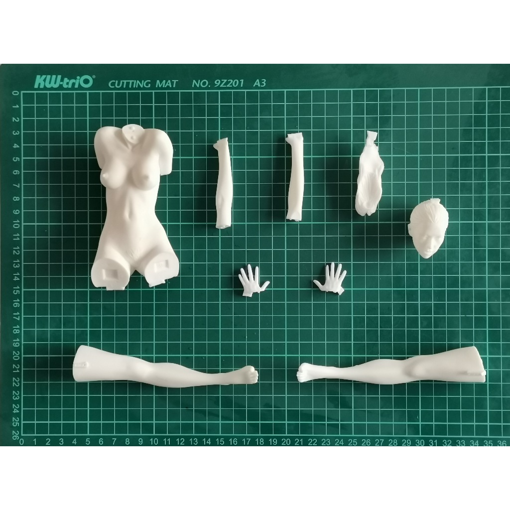 Mô Hình Cô Gái Dễ Thương Bằng Nhựa resin Tỉ Lệ 1 / 6