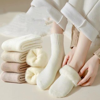 FHYL Vớ Len Lông Cổ Trung Dày Dặn Mền Mại Giữ Ấm Mùa Đông Cho Nữ