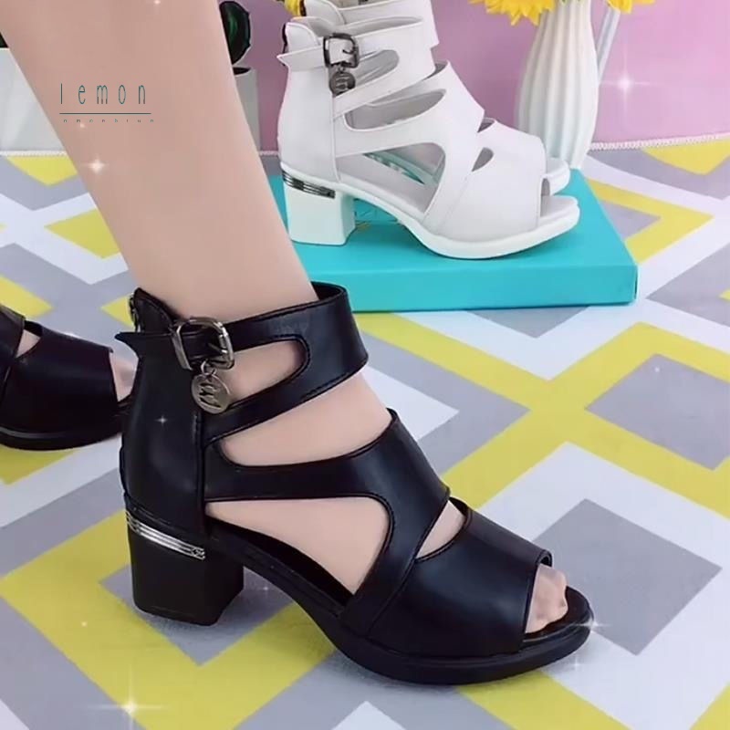 Cuộn Dây Đai 2 Màu Sắc Đa Dạng Hợp Thời Trang