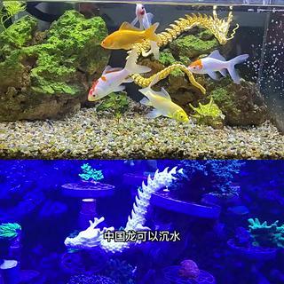 Mô Hình Đồ Chơi Cá Rồng 3d Linh Hoạt Phong Cách Trung Hoa 2024