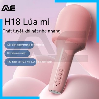 Jinyun Micro h18 Truyền Thống Kết Nối bluetooth Không Dây Hát karaoke