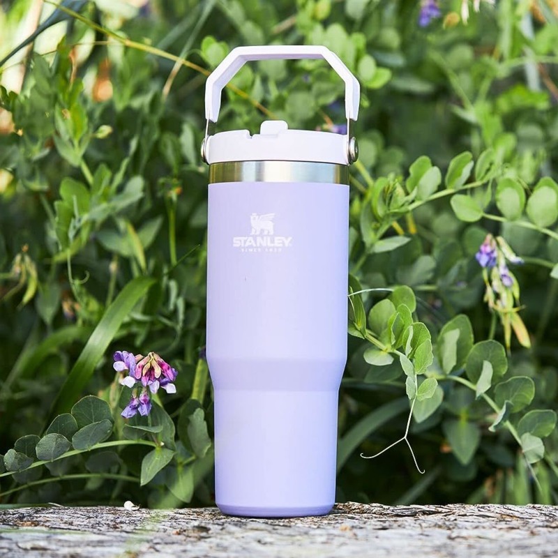 Bình Đựng Nước Cách Nhiệt Bằng Thép Không Gỉ 30 oz Có Ống Hút Lật Chống Rò Rỉ Có Thể Tái Sử Dụng