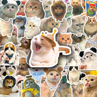 10 / 100 Sticker Chống Nước Hình Mèo Vui Nhộn Cho Điện Thoại Laptop Ván Trượt