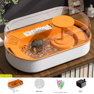  Hộp Nuôi Rùa   Rùa   Bể Cá Nhỏ Tiện Lợi necessities 