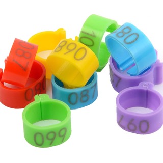 Set 100 Vòng Đeo Chân Huấn Luyện Thú Cưng 1.6cm / 2.0cm No 001 Đến 100