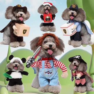  Oyes Trang phục mèo Đồ dùng cho thú cưng Gấu trúc đứng lên Quần áo chó vui nhộn Trang phục mô hình thẳng đứng Trang phục mèo Sát thủ Tiệc Cosplay Lễ hội Búp bê chết người Quần áo thú cưng 