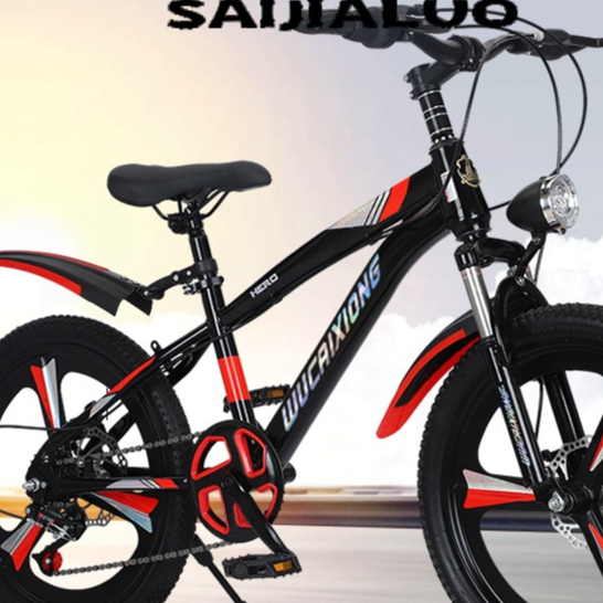 SAIJIALUO Xe đạp thể thao 20 inch VÀNH ĐÚC SLY2410FEE 2Z240113