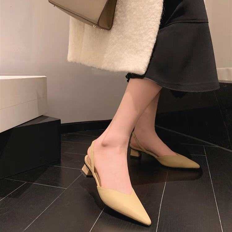 Giày Cao Gót Mũi Nhọn Thời Trang Thanh Lịch Dành Cho Nữ
