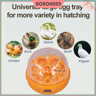 Máy ấp trứng thông minh, Máy ấp trứng gà mini Boron069