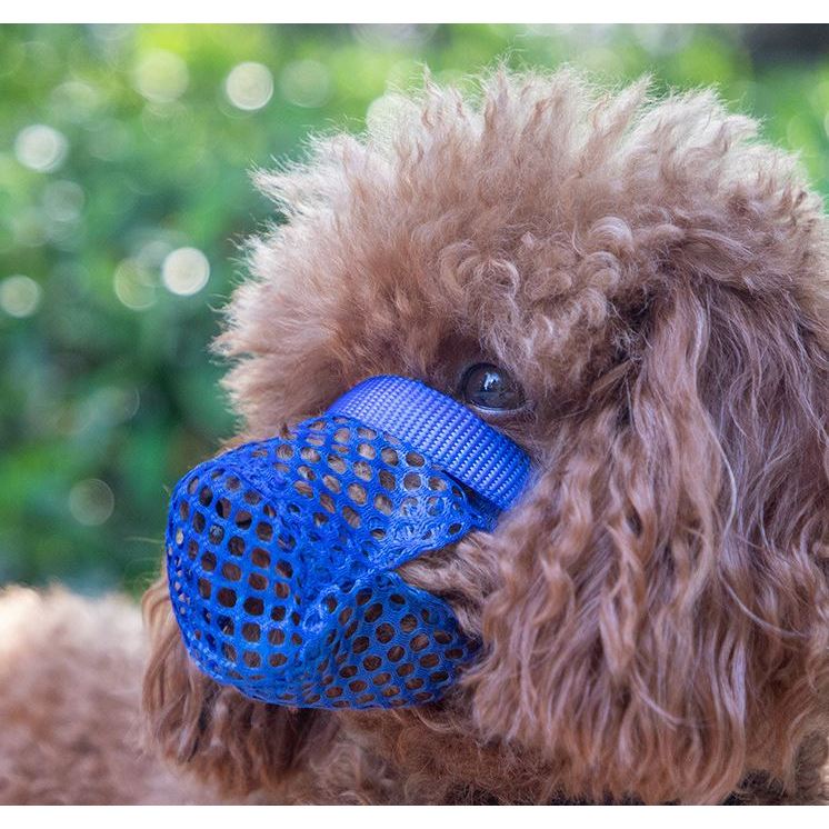 Rọ mõm chó, rọ mõm chó cỡ nhỏ và vừa, rọ mõm cho thú cưng chống cắn, chống la hét