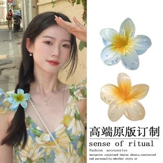 Thạch Màu Tóc Frangipani Lớn Kẹp Tóc Ngọt Ngào Tóc Mũ Đội Đầu Kẹp Tóc Cá Mập Kẹp Bên Biển Chụp Ảnh Sử Dụng