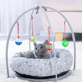 Elsabel. Đồ chơi đa chức năng cho mèo
