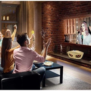 Loa Bluetooth Karaoke Micro Không Dây Karaoke Micro Kép