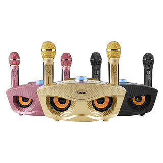 Loa Bluetooth Karaoke Micro Không Dây Karaoke Micro Kép