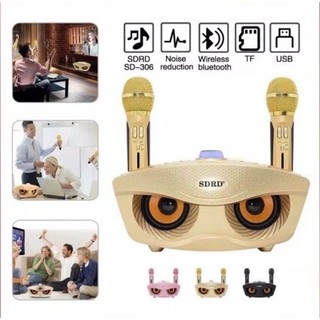 Loa Bluetooth Karaoke Micro Không Dây Karaoke Micro Kép