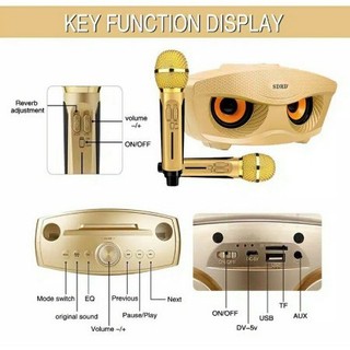 Loa Bluetooth Karaoke Micro Không Dây Karaoke Micro Kép