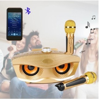 Loa Bluetooth Karaoke Micro Không Dây Karaoke Micro Kép