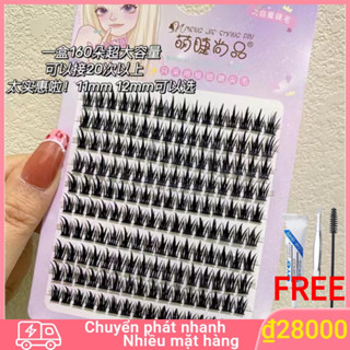 Lông mi giả AIMEEORAN  Aimeeoran dạng lúa mì có keo nối mi dày và dài tự nhiên phong cách quỷ nhỏ