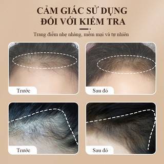 Sevich Phấn Phủ Đường Chân Tóc Che Phủ Hói Bột 4g