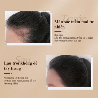 Sevich Phấn Phủ Đường Chân Tóc Che Phủ Hói Bột 4g
