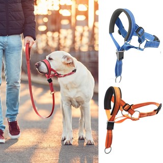 Dây dắt cho chó cỡ trung và lớn khẩu trang cho thú cưng khẩu trang cho thú cưng thoáng khí khẩu trang cho thú cưng khẩu trang cho thú cưng