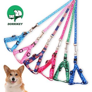 Dorrikey dây dẫn thú cưng đi dạo hhmps0094