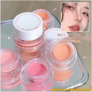 Natural Matte Monotone Blush