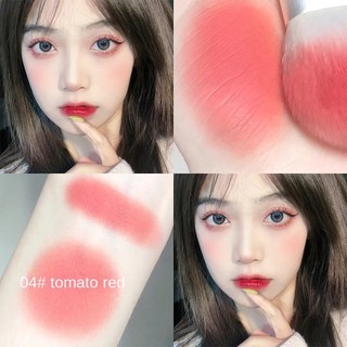 Natural Matte Monotone Blush
