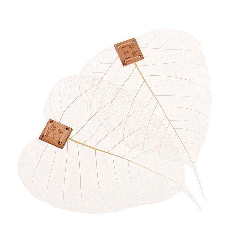 Dụng cụ lọc trà hình chiếc lá bằng silicon