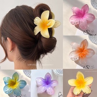 Bauhinia trứng hoa tóc mặt sau đầu kẹp tóc kẹp cá mập kẹp phụ kiện tóc