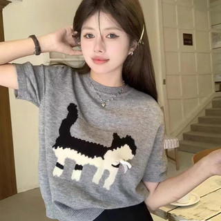 71437 Áo thun ngắn tay cổ tròn dễ thương Nơ Kitten Jacquard